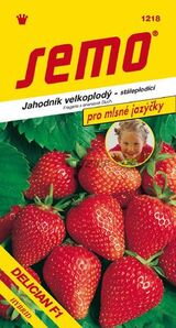 Jahoda veľkoplodá Delician F1
