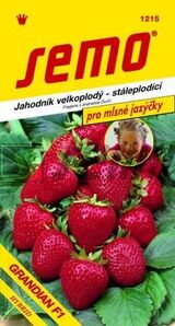 Jahoda veľkoplodá Grandian F1