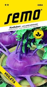 Kaleráb Violeta 