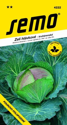 Kapusta hlávková Pourovo poloneskorá
