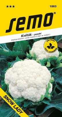 Karfiol Snow Lady                                                        