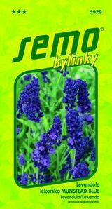 Levanduľa lekárska Munstead Blue