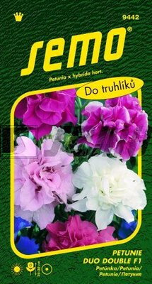 Petunia veľkokvetá Duo Double F1