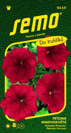 Petunia mnohokvetá Láska F1