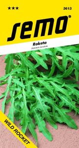 Roketa Wild Rocket