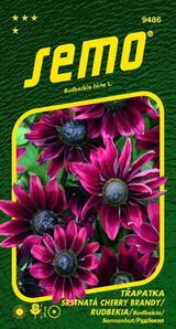 Rudbekia srstnatá Cherry Brandy
