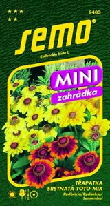 Rudbekia srstnatá Toto mix