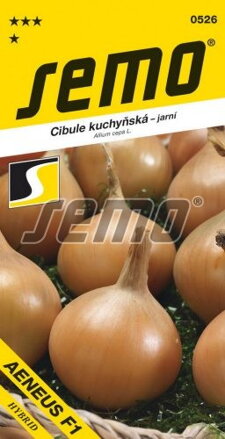 Cibuľa jarná  Aeneus F1   