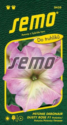 Petunia Debonair Dusty Rose F1       