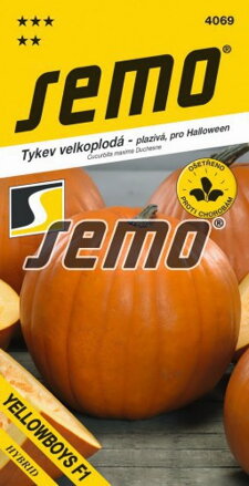 Tekvica veľkoplodá Yellowboys F1