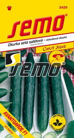 Uhorka šalátová Avantgarde F1