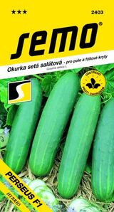 Uhorka šalátová Perseus F1