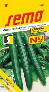 Uhorka šalátová Vista F1