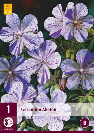 Geranium Pakost Akaton   