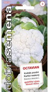 Karfiol neskorý Octavian