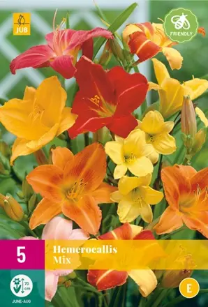 Hemerocallis Ľaliovka zmes farieb