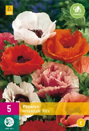 Mak okrasný Papaver orientale Mix ( 5 ks )