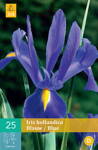Holandský iris Blue