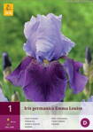 Iris germanica Iris Emma Louise  