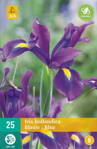 Holandský iris Blue opäť dostupný na jar 2022