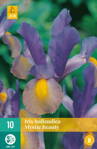 Holandský iris Mystic Beauty opäť dostupný na jar 2022