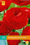 Ranunculus Iskerník červený                                