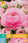 Ranunculus Iskerník ružový     opäť dostupný na jar 2022                                