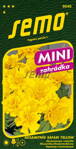 Aksamietnica rozložitá Safari Yellow