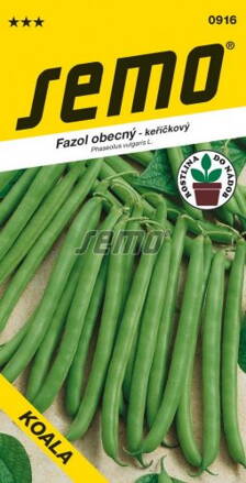 Fazuľa obyčajná kríčková Koala