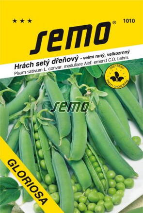 Hrach siaty Gloriosa
