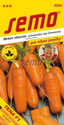 Mrkva obyčajná Tena F1 