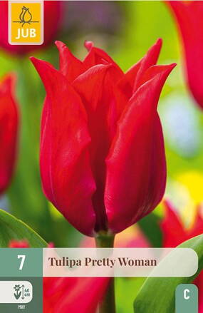 Ľaliokveté tulipány - Tulipán Pretty Woman    