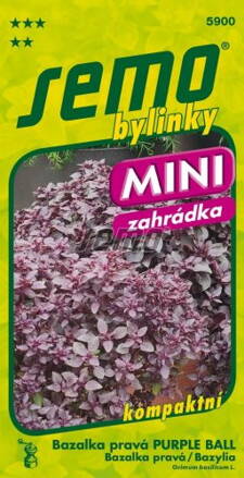 Bazalka pravá Purple Ball