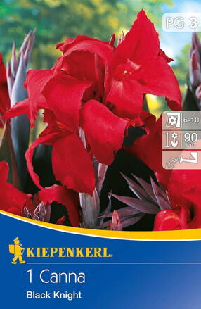 Canna Kana  Black Knight