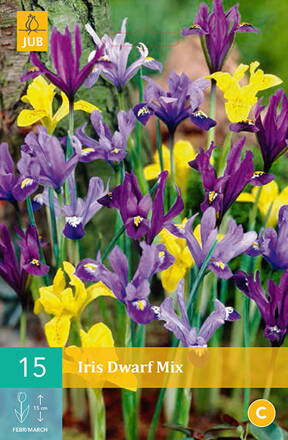 Botanický iris zmes nízkych Irisov