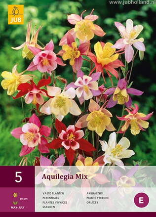 Aquilegia Orlíček mix  