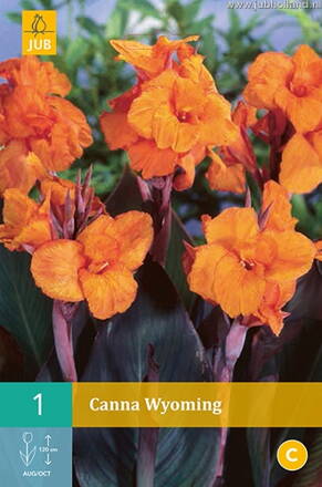 Canna Kana Wyomig 