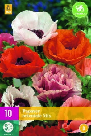 Mak okrasný Papaver orientale Mix ( 10 ks )