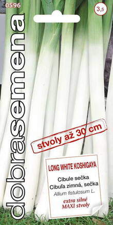 Cibuľa zimná - sečka Long White Koshigaya              