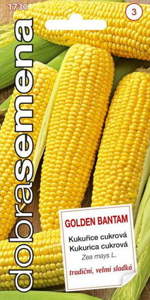 Kukurica cukrová Golden Bantam    