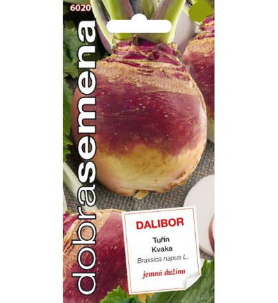 Kvaka Dalibor   
