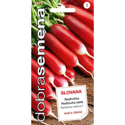 Reďkovka siata  Slovana 