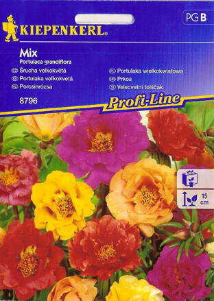 Portulaka veľkokvetá plnokvetá   Mix