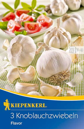 Cesnak jarný Flavor       Kiepenkerl/SPERLI    