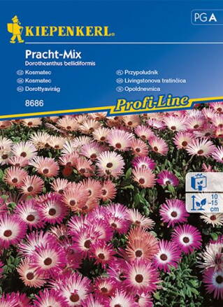 Kosmatec  Pracht mix