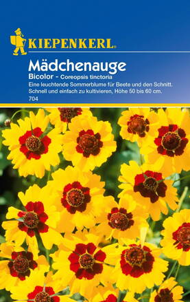 Kráska - Coreopsis bicolor