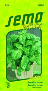 Bazalka pravá Lettuce Leaf 