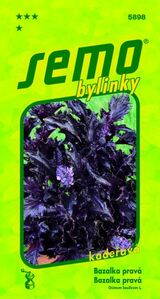 Bazalka pravá Purple Ruffles 