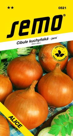 Cibuľa kuchynská Alice                                              