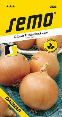 Cibuľa kuchynská Dagmar                                        